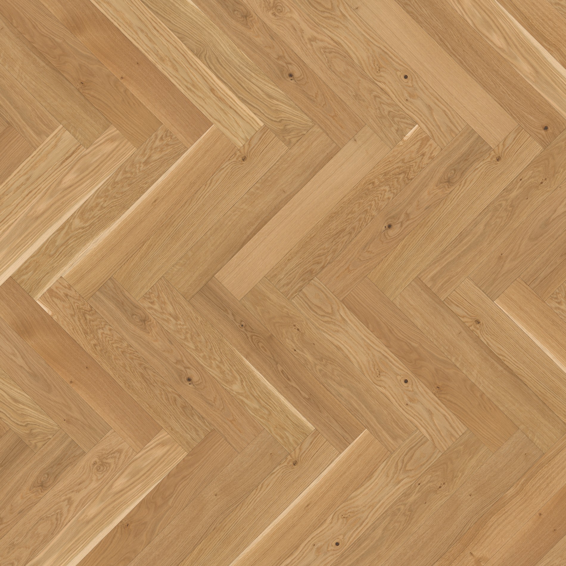 Parador Trendtime 3 Herringbone M4V